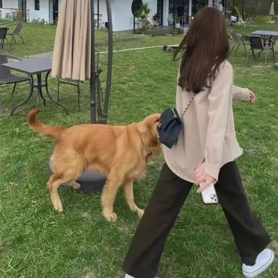 鹿晗演唱会