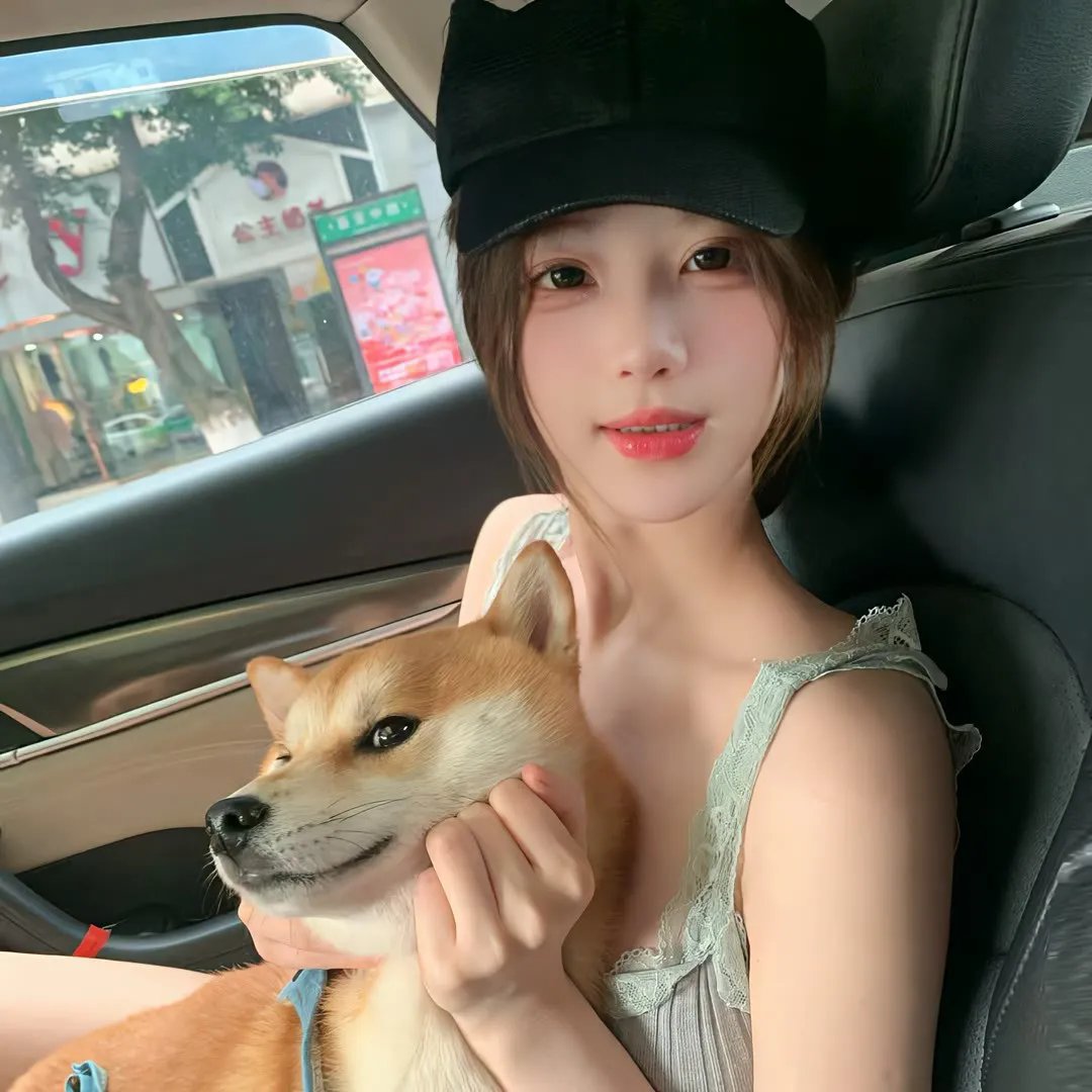 白鸥啊 不要飞起来
